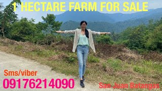 Vlog478 1 HECTARE FARM WITH MOUNTAIN VIEW FOR SALE IN SAN JUAN BATANGAS PHILIPPINES [upl. by Notyarb]