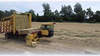 The Beauty of Rye Straw Harvest [upl. by Leimaj]