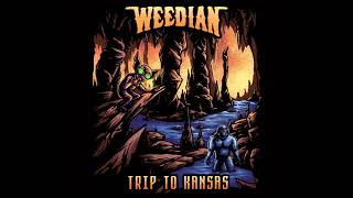 WEEDIAN  Trip to Kansas Full Album Compilation 2024 [upl. by Rozanna]