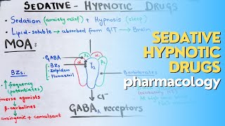 SedativeHypnotic drugs part 2 CNS pharmacology made EASY and QUICK [upl. by Zach]