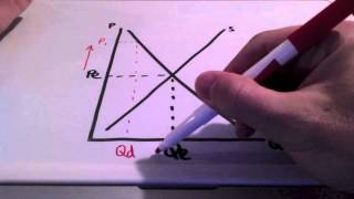 Market Equilibrium and Market Disequilibrium [upl. by Nnaeerb978]