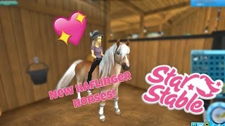 SSO  The new Haflinger horses [upl. by Occer]