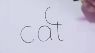 كيفية رسم قطة باستعمال كلمة cat [upl. by Baptist]