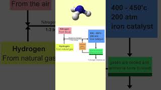 Modern Agriculture The HaberBosch Method [upl. by Donnell802]