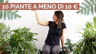 10 piante ECONOMICHE e di grande soddisfazione [upl. by Valaria]