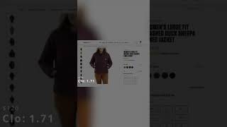 The Warmest Carhartt Jackets for 2023 Tested [upl. by Eseerehc]