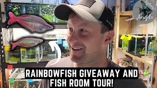 BLEHERI RAINBOWFISH GIVEAWAY AND FISH ROOM UPDATE  TOUR [upl. by Alicsirp]