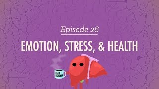 Emotion Stress and Health Crash Course Psychology 26 [upl. by Drus]