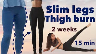 Slim legs amp thigh burn🔥secret easy workout  2 weeks beginner challenge 15minquietno equipment [upl. by Worrad106]