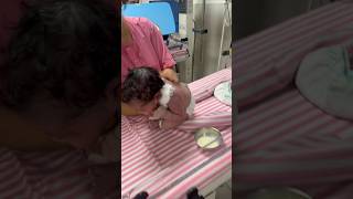 BURP AFTER THE FEEDING Burping position newborn baby 🧑‍🍼ankur maitrika hospital [upl. by Bobbie]