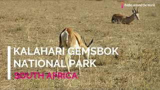 Kalahari Gemsbok National Park  South Africa [upl. by Etsirk459]