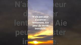 proverbe chinois [upl. by Anna-Diana278]