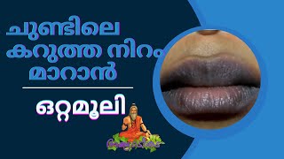 ചുണ്ടിലെ കറുത്ത നിറം മാറാൻ ഒറ്റമൂലികൾ ottamooli lipcare malayalamhealthtips homeremedies [upl. by Robins]