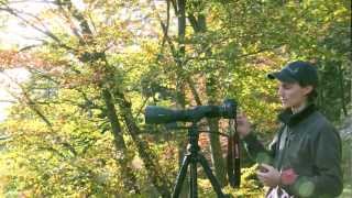 Video tutorial SWAROVSKI OPTIK Digiscoping camera adapter TLS APO for ATXSTX spotting scopes [upl. by Eikciv]