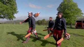 Massive Diseased Sweet Chestnut Tree Takedown [upl. by Aredna]