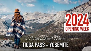 255 Tioga Pass is Open 2024 Current Conditions Yosemite National Park TIOGA ROAD ADVENTURE [upl. by Mordy]