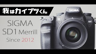 SIGMA SD1 merrillの書き込み中はトロイメライでも聴いとけば遅さなんて気になんないもんね。 [upl. by Dorr]