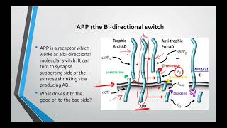 How to reverse Alzheimers disease Dr Dale Bredesen protocol The first section [upl. by Yhtrod174]