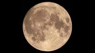 Themes of the Full Moon in Leo January 25 2024 and a Meditation for this Full Moon [upl. by Nanni]