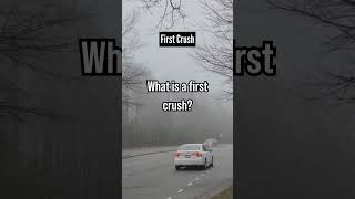 First Crush Psychology facts shorts  human behavior  human psyche  psychology facts in english [upl. by Nov]