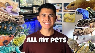 MEET ALL OF MY PETS 19 Exotic Animals 2018 [upl. by Adnala]