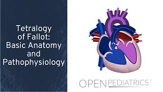 Tetralogy of Fallot Basic Anatomy and Pathophysiology by P Lang L DelSignore  OPENPediatrics [upl. by Otrebile]