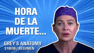 Greys Anatomy 18x08  CLIFFHANGER NAVIDEÑO  Resumen Winter Finale [upl. by Adiaroz]