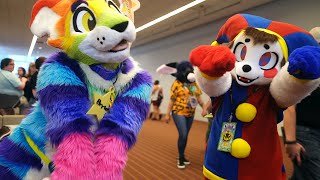 Anthrocon Day 1 Compilation  Unusual and Rare Fursuits  2024 [upl. by Sair969]