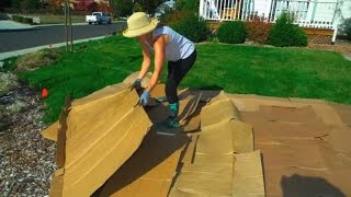 Convert Your Lawn by Sheet Mulching [upl. by Aneej]