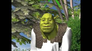 Toy Shrek  Final Year University Project [upl. by Leary891]