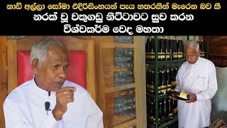 නරක් වූ වකුගඩු නිට්ටාවට සුව කරන විශ්වකර්ම වෙද මහතා  Ancient Medical Cure For Kidney Found [upl. by Myrtice]