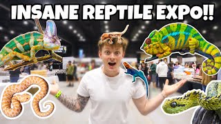 TOURING A HUGE REPTILE CONVENTION INSANE [upl. by Bethena]