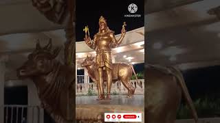 Ujjain  మహాకాళేశ్వర స్వామి [upl. by Elysia]