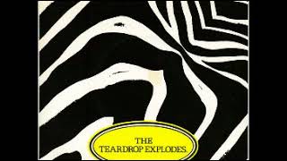 Reward The Teardrop Explodes [upl. by Schaeffer638]