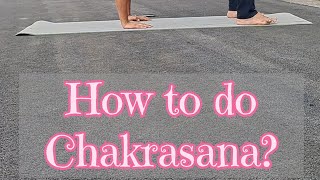 How to do Chakrasana  Wheel Pose of Yoga  backbend shorts ytshots yogashorts veeryogasession [upl. by Attenwahs]