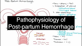 Pathophysiology of Postpartum Hemorrhage [upl. by Rochella]