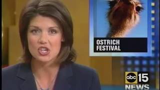 No Ostriches at the Festival ABC 15 NEWS 2003 [upl. by Zia]