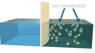 Reverse Osmosis Process [upl. by Arual]