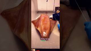 🦑 Giant Squid Skin Peeling Process  ASMR Calamari Prep squid cuttlefish calamar short trending [upl. by Oesile]