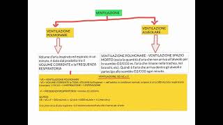 CORSO DI FISIOLOGIA UMANA  LEZIONE 51 DI 81  FISIOLOGIA APPARATO RESPIRATORIO  PARTE 4 [upl. by Ragnar]