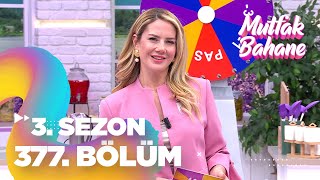 Mutfak Bahane 3 Sezon 377 Bölüm [upl. by Floss]