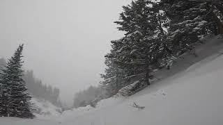 Jack Skiing  Top to BottomNorth Woods Cheyenne Gully Sublette Ridge  Jackson Hole Mountain Resort [upl. by Franchot170]