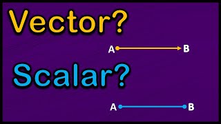 What are Vectors  Scalars Class 11th Physics In Hindi  Scalar and Vector quantities in Urdu [upl. by Adnilreh36]