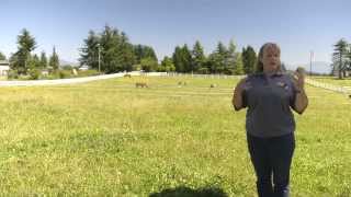 Sound Horsekeeping Pasture Management [upl. by Gene]