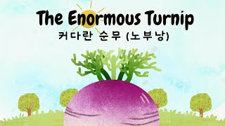 명작동화 뮤지컬 The Enormous Turnip  커다란 순무  낭독하는 명작동화  참읽기 [upl. by Rad]