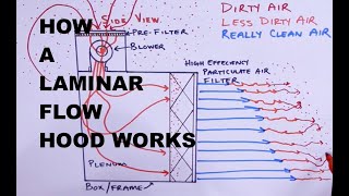 How and Why a Laminar Flow Hood Works  Prevent Contamination for Cultivating Mushrooms at Home [upl. by Follansbee685]