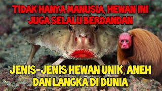 JENISJENIS HEWAN UNIK ANEH DAN LANGKA DI DUNIA Part 2 [upl. by Wadleigh]