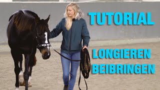 Bodenarbeit Tutorial Pferd Longieren beibringen  Übungen mit Kappzaum [upl. by Clarabelle]