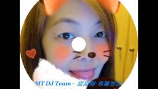 MT DJ Team 甜甜圈 專屬雪茵 DJ 小峰 2016 Remix [upl. by Loftis]