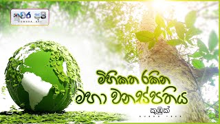 මිහිකත සුරකින මහා වනස්පතිය  Kubuk Tree [upl. by Karlin]